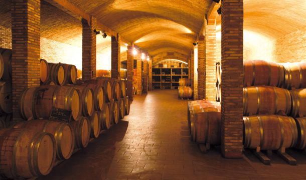 Sala de Barricas Sala de Barricas