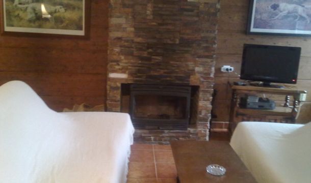 Chimenea de leña Chimenea de leña