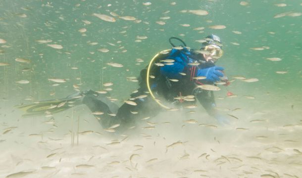 Buceo en Lagunas de Ruidera Buceo en Lagunas de Ruidera